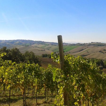 Agriturismo Le Vigne Fermo Eksteriør bilde