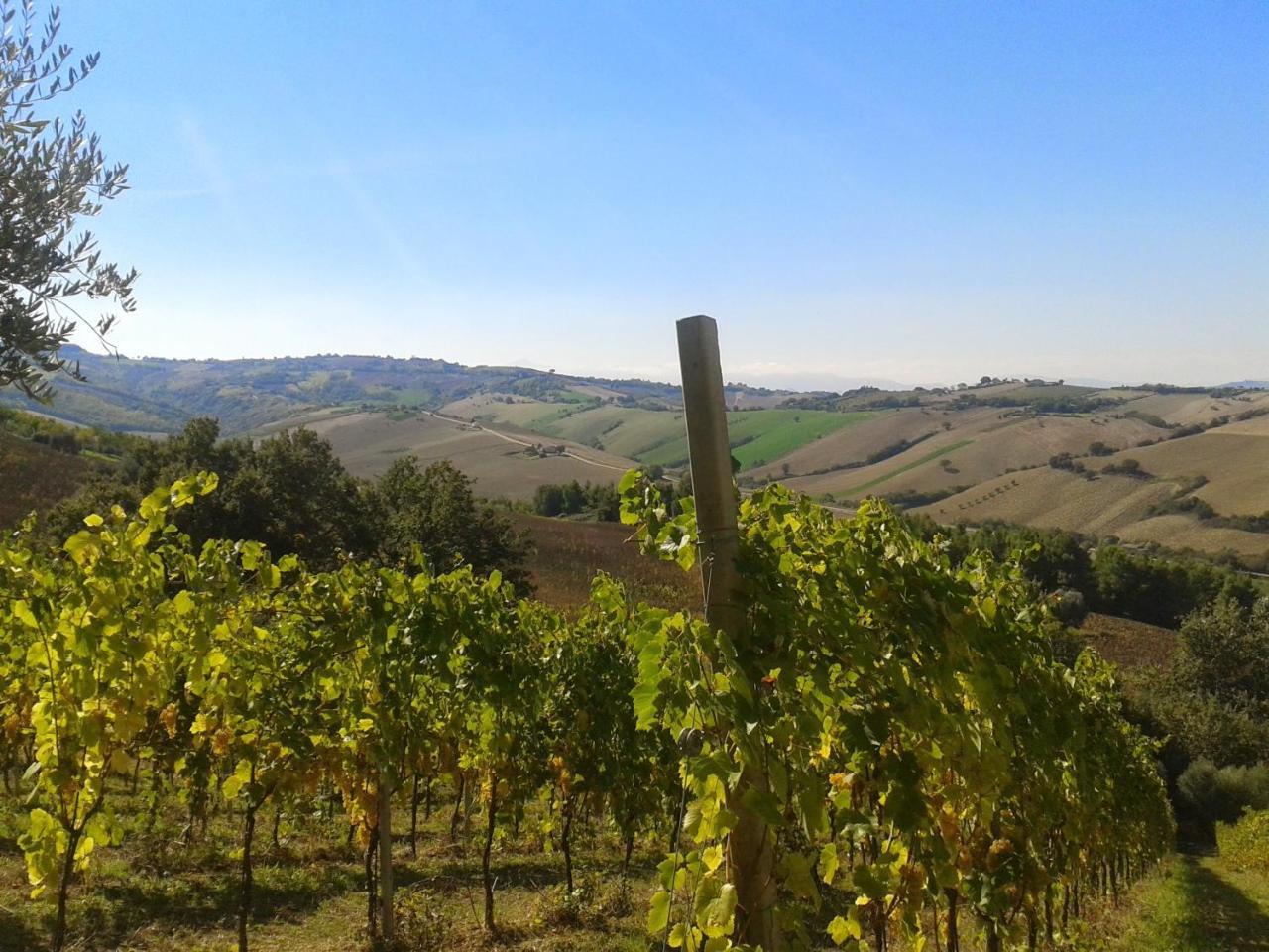 Agriturismo Le Vigne Fermo Eksteriør bilde