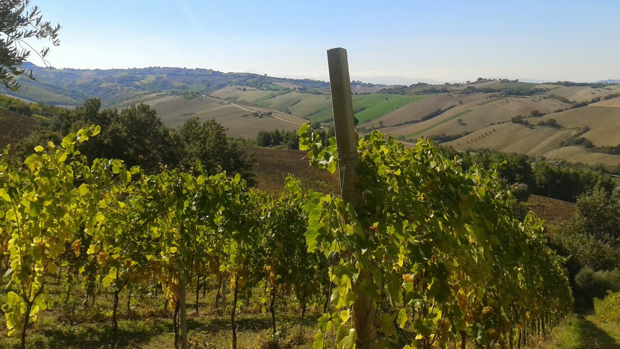 Agriturismo Le Vigne Fermo Eksteriør bilde